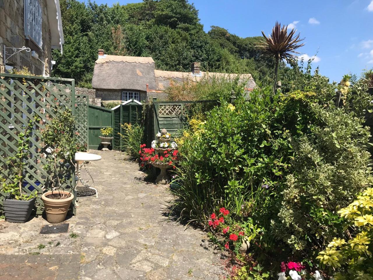 Koala Cottage Ventnor Exteriör bild